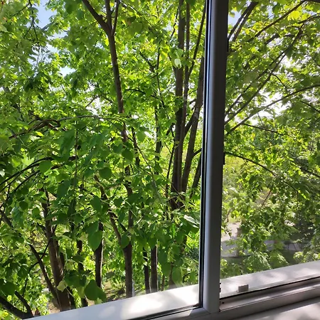 Bulevardul Tomis 99, 2 Cam, Zona Pietonala Weekend, Parcul Operei, Ideal Familii