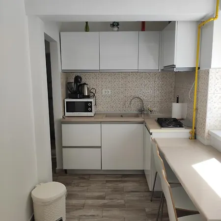 Bulevardul Tomis 99, 2 Cam, Zona Pietonala Weekend, Parcul Operei, Ideal Familii