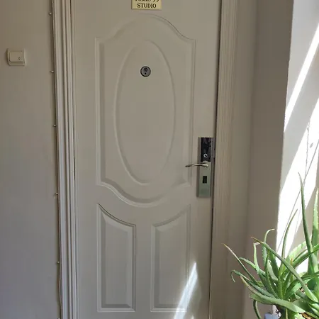 Apartment Tomis 99
